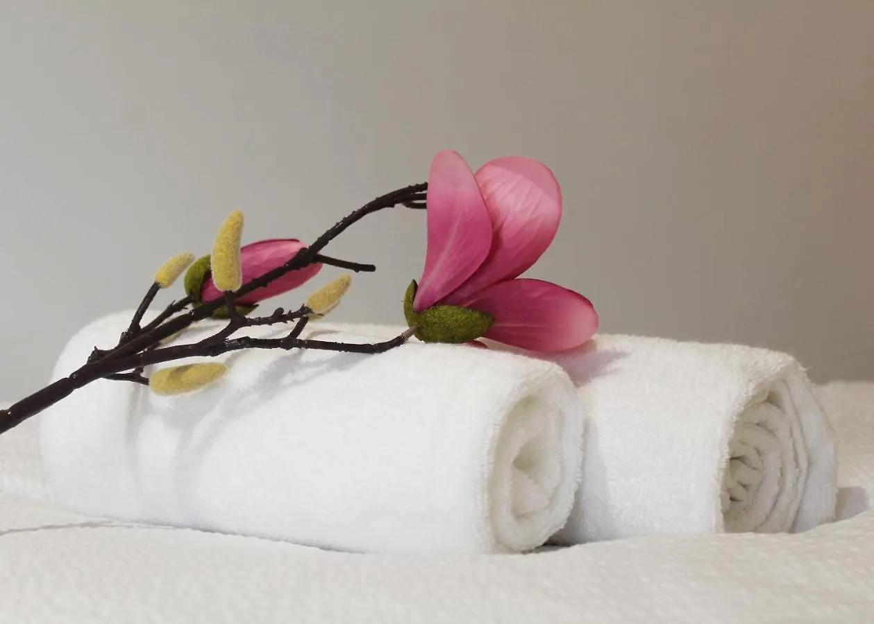 Apartment Villa Puric Rovinj